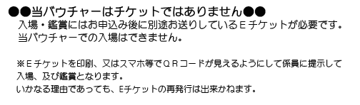 別途Eチケットをお送りしますので、ご確認お願い致します。