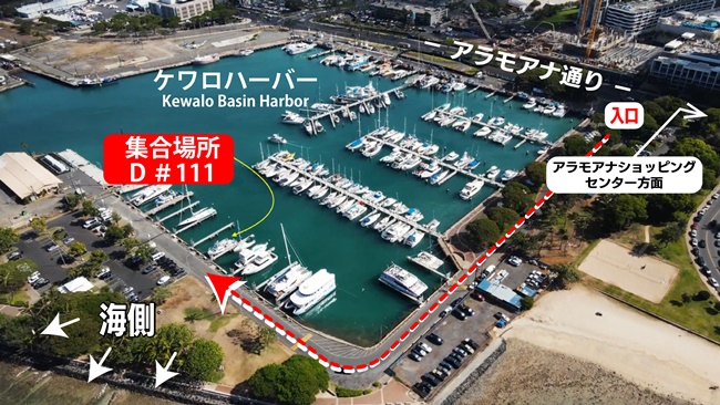 ケワロハーバーD-111(1125 ALA MOANA BLVD, HONOLULU)