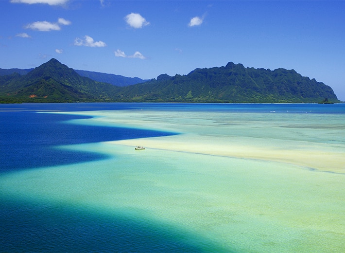 海洋葬（散骨）
