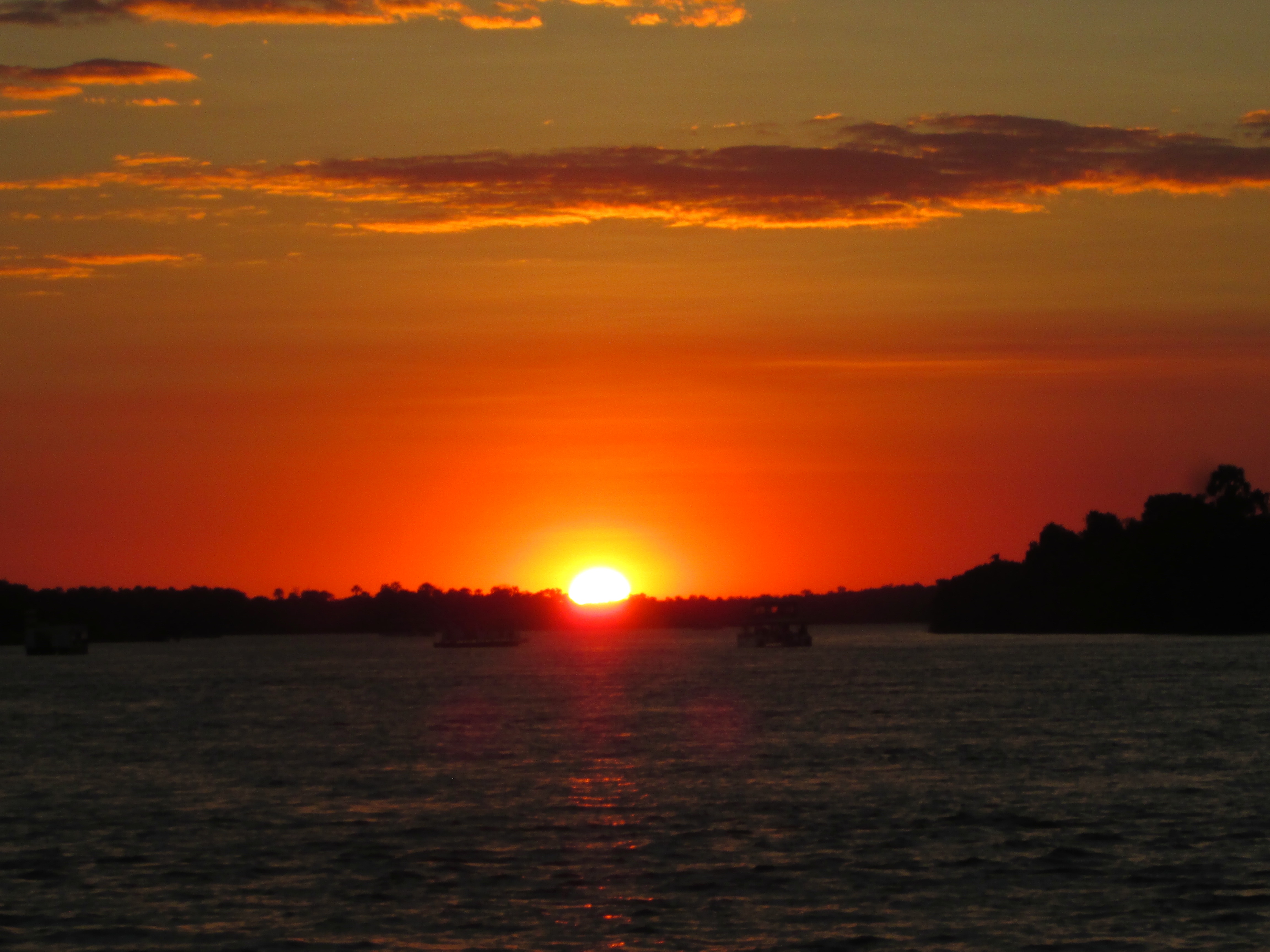クルーズ