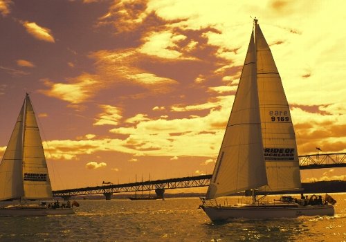 ～夕焼け・夜景を楽しもう～ オークランド湾内ディナークルーズ