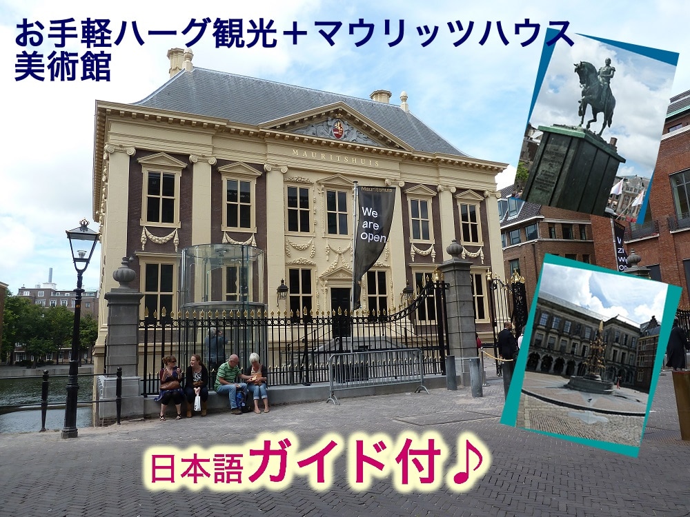(ハーグ出発プラン)マウリッツハウス美術館＋お手軽ハーグ観光【午前・日本語ガイド】