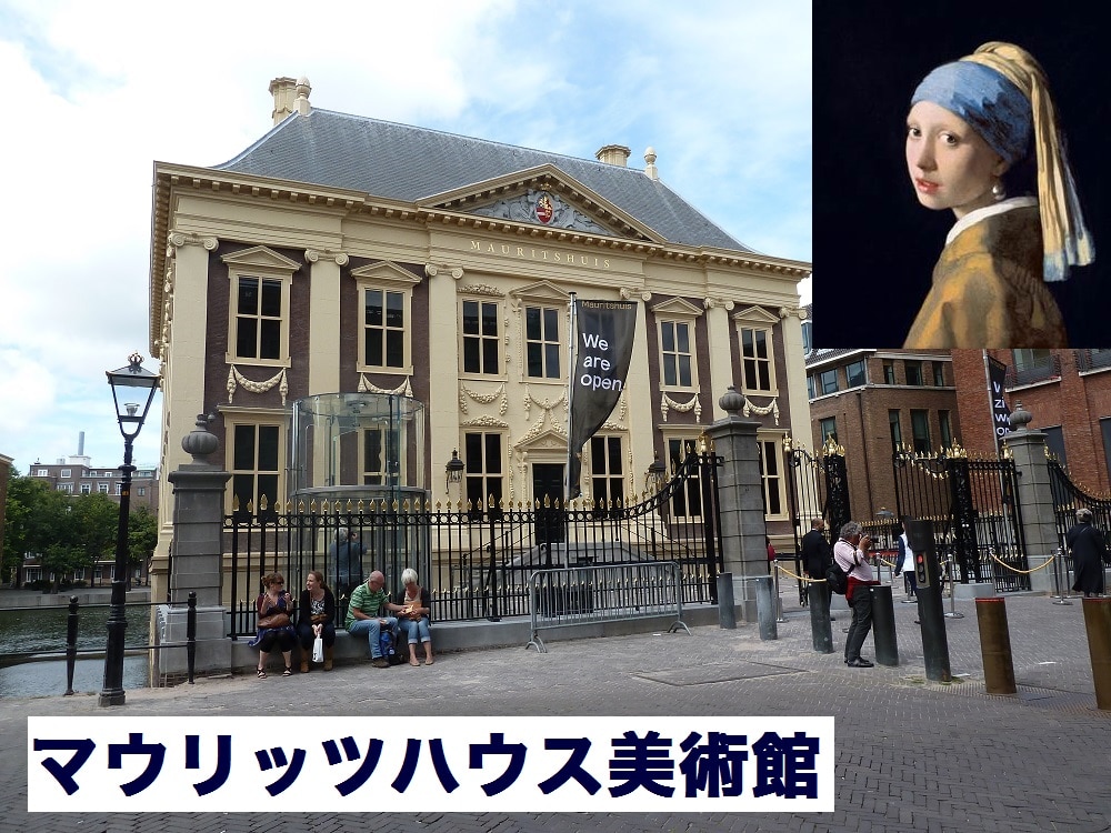 マウリッツハウス美術館（入場券）