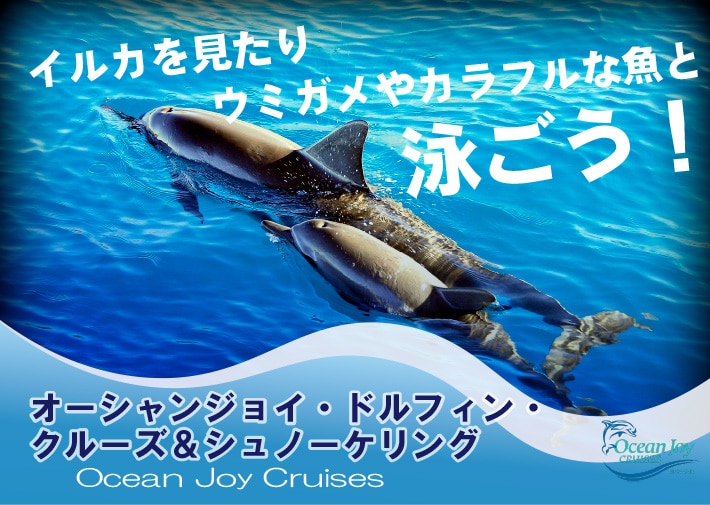 オーシャンジョイ・ドルフィン・クルーズ＆シュノーケリング＜食事・ドリンク付き＞