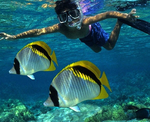 ケアラケクア湾モーニングシュノーケルクルーズ＜ケアウホウ湾発着＞（英語ガイド）