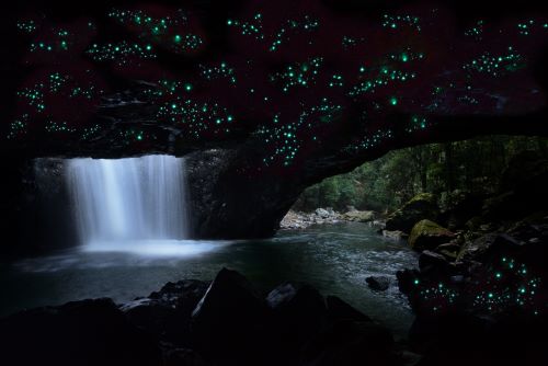 世界遺産ツアー