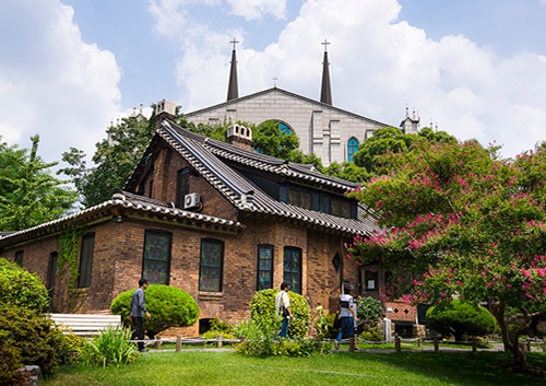 【釜山発】大邱(デク)市内観光+アプ山展望台１日ツアー＜昼食付き/日本語ガイド案内！＞
