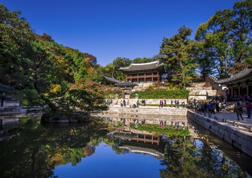 「世界遺産」昌徳宮＆秘苑（後苑）特別観覧ツアー＜日本語ガイド案内！＞
