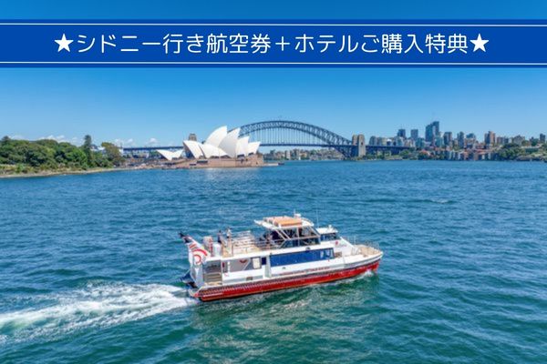 観光クルーズ