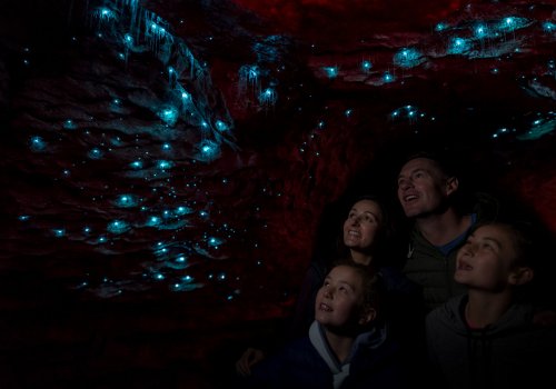 神秘的な光を楽しもう！世界遺産地区での土ボタル見学ツアー